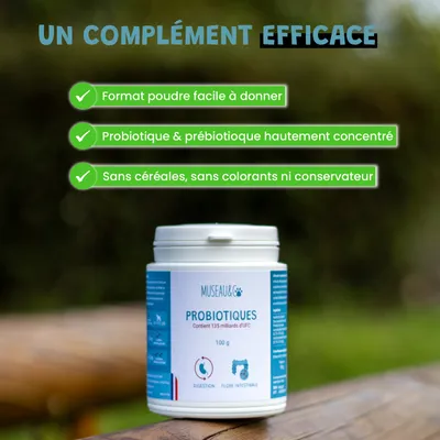 Probiotiques - Flore Intestinale - Digestion - Transit - Chien Chat - 100g