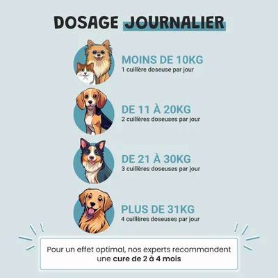 Museau & Co | Probiotika | Verdauung & Abwehrkräfte | Hund & Katze Museau & Co | Probiotika | Verdauung & Abwehrkräfte | Hund & Katze