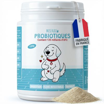 Museau & Co | Probiotiques | Digestion & Immunité | Chien & Chat Poudre 100g – 135 milliards UFC + Prébiotiques 🦠