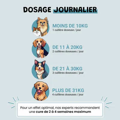 Probiotiques - Flore Intestinale - Digestion - Transit - Chien Chat - 100g