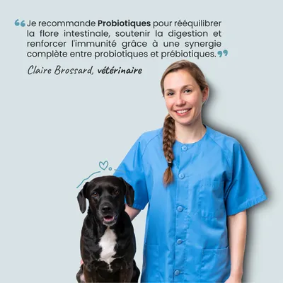 Museau & Co | Probiotiques | Digestion & Immunité | Chien & Chat Museau & Co | Probiotiques | Digestion & Immunité | Chien & Chat