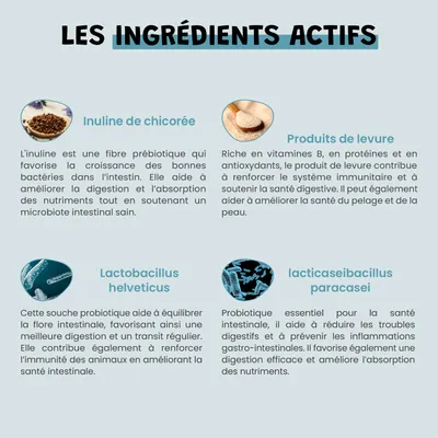 Probiotiques - Flore Intestinale - Digestion - Transit - Chien Chat - 100g