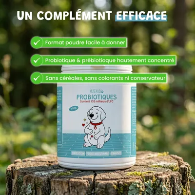 Museau & Co | Probiotika | Verdauung & Abwehrkräfte | Hund & Katze Museau & Co | Probiotika | Verdauung & Abwehrkräfte | Hund & Katze