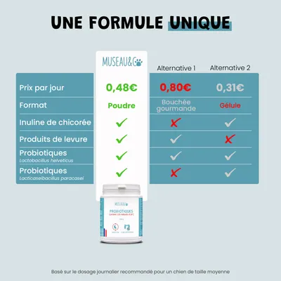 Probiotiques - Flore Intestinale - Digestion - Transit - Chien Chat - 100g