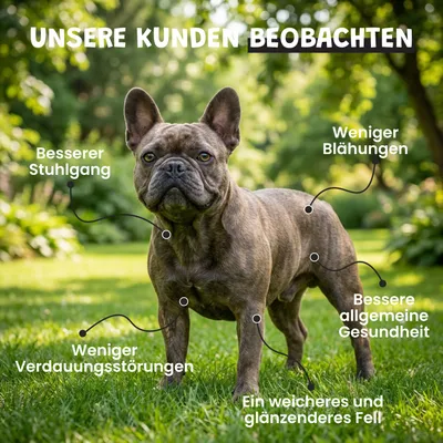 Museau & Co | Probiotika | Verdauung & Abwehrkräfte | Hund & Katze Museau & Co | Probiotika | Verdauung & Abwehrkräfte | Hund & Katze