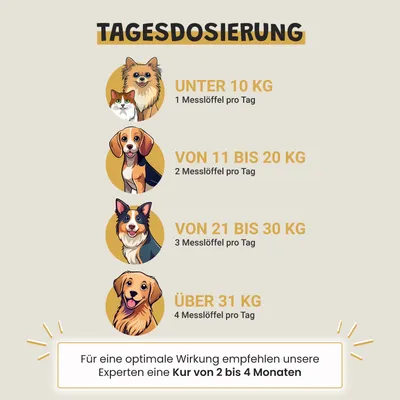 Museau & Co | Immunität | Natürliche Abwehrkräfte | Hund & Katze Museau & Co | Immunität | Natürliche Abwehrkräfte | Hund & Katze