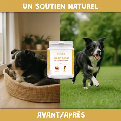 Immuno Boost - Immunité - Énergie - Vitalité - Chien et Chat - 100g