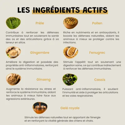 Immuno Boost - Immunité - Énergie - Vitalité - Chien et Chat - 100g