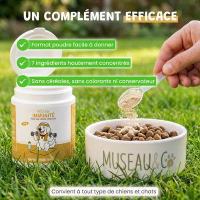 Museau & Co | Immunité | Défenses Naturelles | Chien & Chat