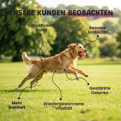 Museau & Co | Krill | Omega-3 Premium | Hund & Katze Museau & Co | Krill | Omega-3 Premium | Hund & Katze