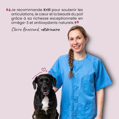 Krill - Articulation - Oméga-3 - Souplesse - Mobilité - Chien & Chat - 100g Krill - Articulation - Oméga-3 - Souplesse - Mobilité - Chien & Chat - 100g