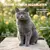 Museau & Co | Juckreiz | Beruhigte Haut | Hund & Katze Museau & Co | Juckreiz | Beruhigte Haut | Hund & Katze