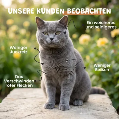 Museau & Co | Juckreiz | Beruhigte Haut | Hund & Katze Museau & Co | Juckreiz | Beruhigte Haut | Hund & Katze