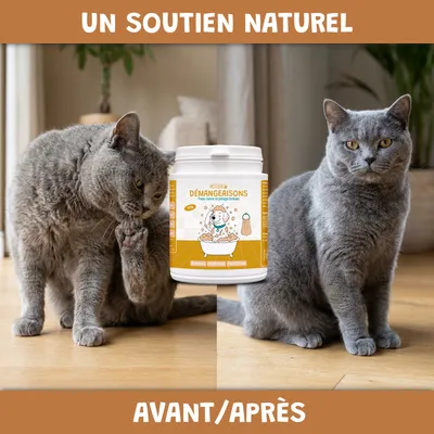 Museau & Co | Démangeaisons | Peau Apaisée | Chien & Chat