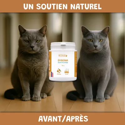 Épiderma - Anti-Démangeaisons - Pelage - Irritation - Chien et Chat - 100g
