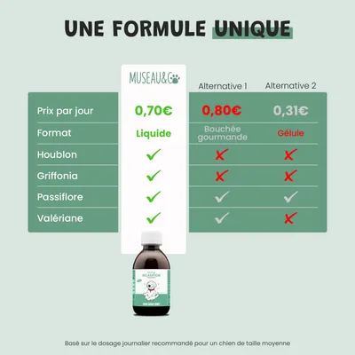 Museau & Co | Relaxation | Anti-Stress | Calme & Sérénité | Chat