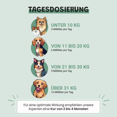 Museau & Co | Relaxation | Anti-Stress | Ruhe & Gelassenheit | Katze