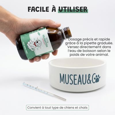 Museau & Co | Relaxation | Anti-Stress | Calme & Sérénité | Chat
