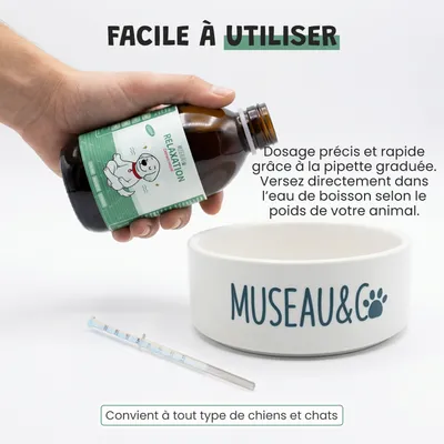 Museau & Co | Relaxation | Anti-Stress | Calme & Sérénité | Chat