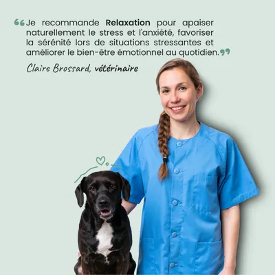 Museau & Co | Relaxation | Anti-Stress | Calme & Sérénité | Chat Museau & Co | Relaxation | Anti-Stress | Calme & Sérénité | Chat