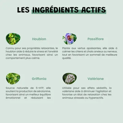 Phyto Zen - Anti-Stress - Relaxation - Apaisement - Chien et Chat - 200ml