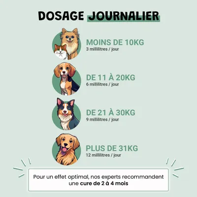 Phyto Zen - Anti-Stress - Relaxation - Apaisement - Chien et Chat - 200ml