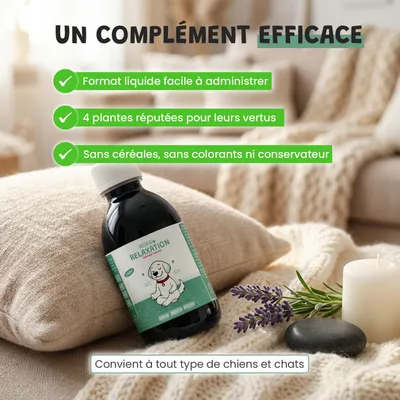 Museau & Co | Relaxation | Anti-Stress | Calme & Sérénité | Chat