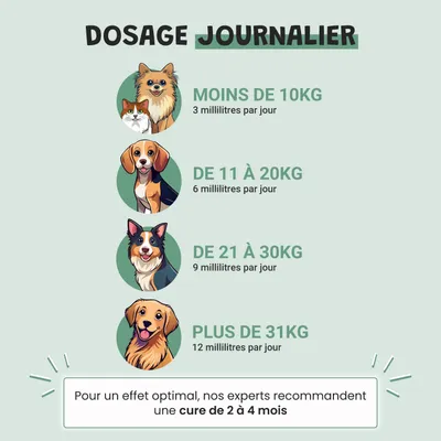 Museau & Co | Relaxation | Anti-Stress | Calme & Sérénité | Chat