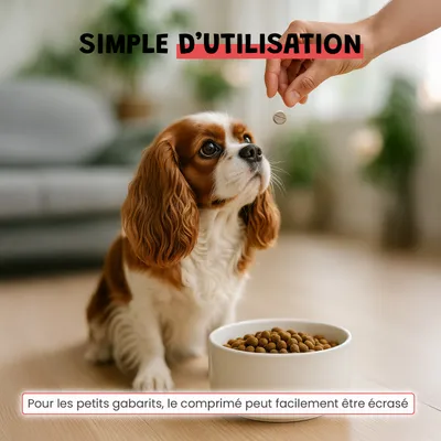 Vermi Protect - Vermifuge Naturel - Parasitaire - Chien et Chat - 60cpr