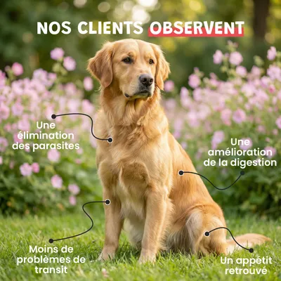 Vermi Protect - Vermifuge Naturel - Parasitaire - Chien et Chat