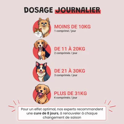 Vermi Protect - Vermifuge Naturel - Parasitaire - Chien et Chat