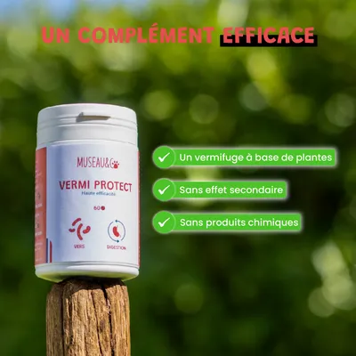 Vermi Protect - Vermifuge Naturel - Parasitaire - Chien et Chat - 60cpr