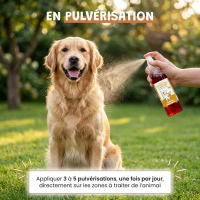 Museau & Co | Vinaigre 4 Voleurs | Répulsif Naturel | Chien & Chat