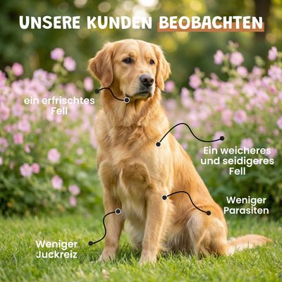Museau & Co | Vier-Räuber-Essig | Natürliches Repellent | Hund & Katze