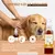 Museau & Co | Vinaigre 4 Voleurs | Répulsif Naturel | Chien & Chat