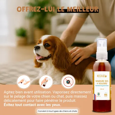 Vinaigre Des 4 Voleurs - Répulsif - Puces - Pelage - Chien & Chat - 100ml