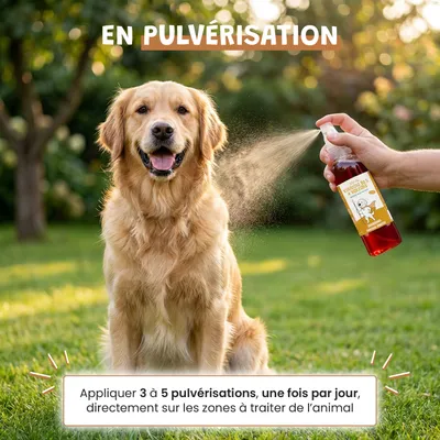 Vinaigre Des 4 Voleurs - Répulsif - Puces - Pelage - Chien & Chat - 100ml