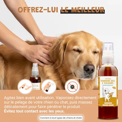 Vinaigre Des 4 Voleurs - Répulsif - Puces - Pelage - Chien & Chat - 100ml