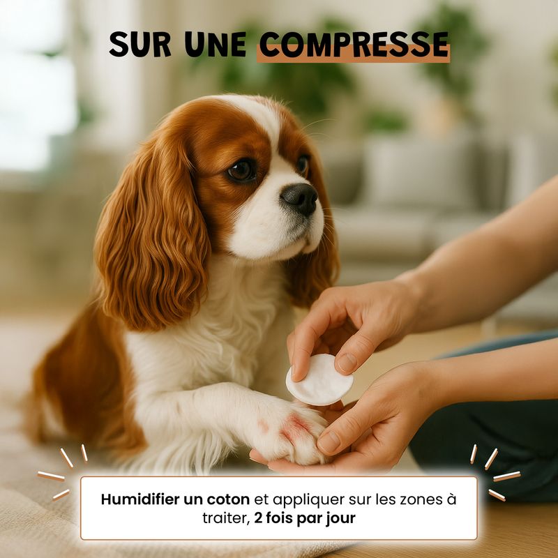 Vinaigre Des 4 Voleurs - Répulsif - Puces - Pelage - Chien & Chat - 100ml