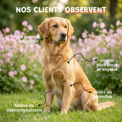 Vinaigre Des 4 Voleurs - Répulsif - Puces - Pelage - Chien & Chat - 100ml