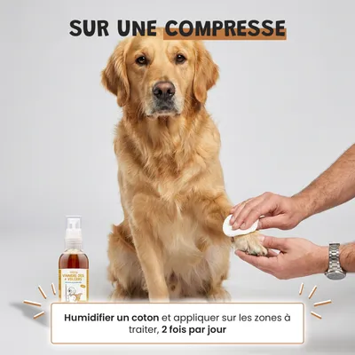 Vinaigre Des 4 Voleurs - Répulsif - Puces - Pelage - Chien & Chat - 100ml