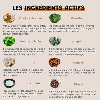Vinaigre Des 4 Voleurs - Répulsif - Puces - Pelage - Chien & Chat - 100ml