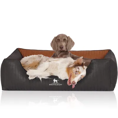 Knuffelwuff Panier orthopédique pour chien Rough Road