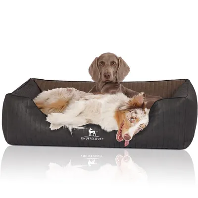 Knuffelwuff Panier orthopédique pour chien Rough Road