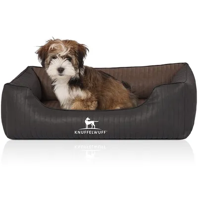 Knuffelwuff Panier orthopédique pour chien Rough Road