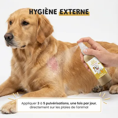 Museau & Co | Propolis-Spray | Mundpflege & Hautpflege | Hund & Katze Museau & Co | Propolis-Spray | Mundpflege & Hautpflege | Hund & Katze