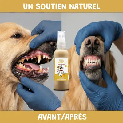 Museau & Co | Spray Propolis | Soin Buccal & Cicatrisant | Chien & Chat