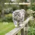 Museau & Co | Propolis-Spray | Mundpflege & Hautpflege | Hund & Katze Museau & Co | Propolis-Spray | Mundpflege & Hautpflege | Hund & Katze