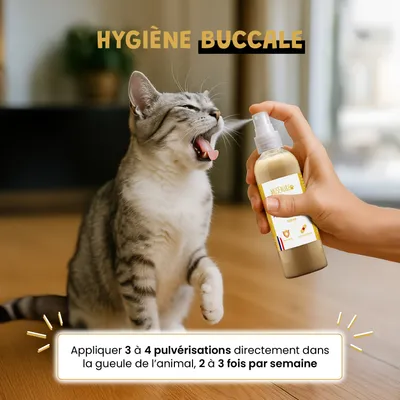 Spray Propolis - hygiène bucco-dentaire - Gingivite - Chien et Chat - 100ml