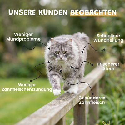 Museau & Co | Propolis-Spray | Mundpflege & Hautpflege | Hund & Katze